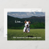 "Leef alsof iemand het Open Briefkaart van de Gate (Voorkant / Achterkant)