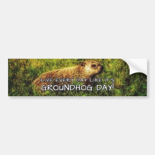 Leef elke dag alsof het Groundhog Day is! sticker