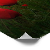 Leef en laat leven poster (Hoek)