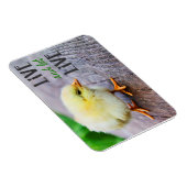 "Leef en laat leven" vegan Magneet (Rechterzijde)