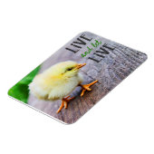 "Leef en laat leven" vegan Magneet (Linkerzijde)