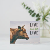 "Leef en laat leven" vegan met bruine koe Briefkaart (Staand voorkant)