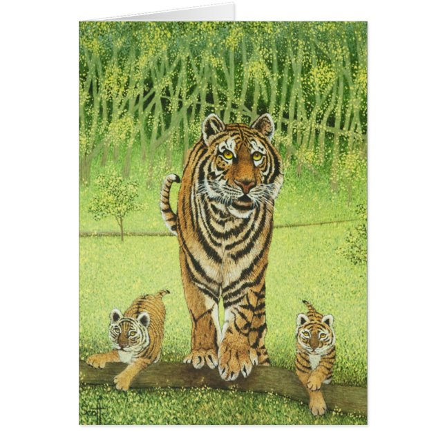 Leef en leer (Voorkant)