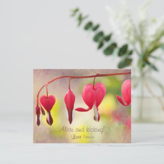 Leef en schopend! CC0193 Love, Patricia Briefkaart (Staand voorkant)