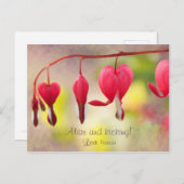 Leef en schopend! CC0193 Love, Patricia Briefkaart (Voorkant / Achterkant)