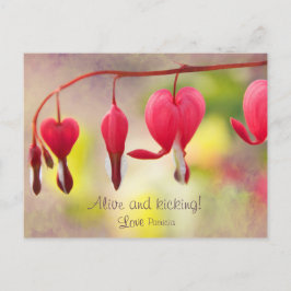 Leef en schopend! CC0193 Love, Patricia Briefkaart