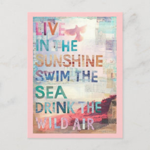 Leef in de Zonneschijn Briefkaart