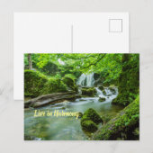Leef in Harmony Briefkaart (Voorkant / Achterkant)
