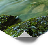 Leef in Harmony Poster (Hoek)