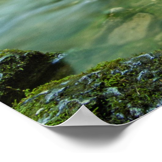 Leef in Harmony Poster (Hoek)