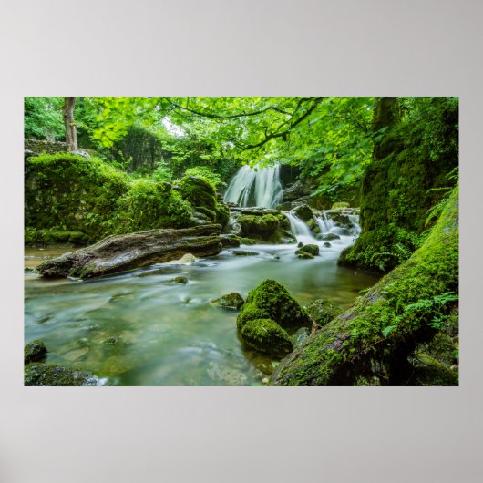 Leef in Harmony Poster (Voorkant)