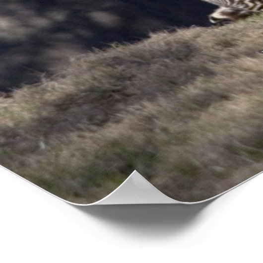 Leef in het Moment Poster (Hoek)