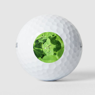 Leef in klaver golfballen