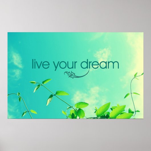 Leef je droom. Vibrant Sky Poster (Voorkant)