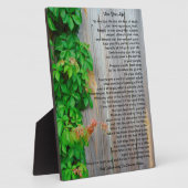 Leef je leven, Chief Tecumseh plaque Fotoplaat (Zijkant)