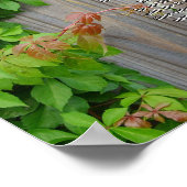 Leef je leven, Chief Tecumseh Poster (Hoek)