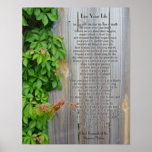 Leef je leven, Chief Tecumseh Poster (Voorkant)