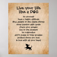 Leef je leven... Dog Qualities