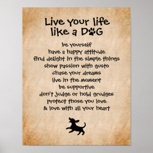 Leef je leven... Dog Qualities Poster