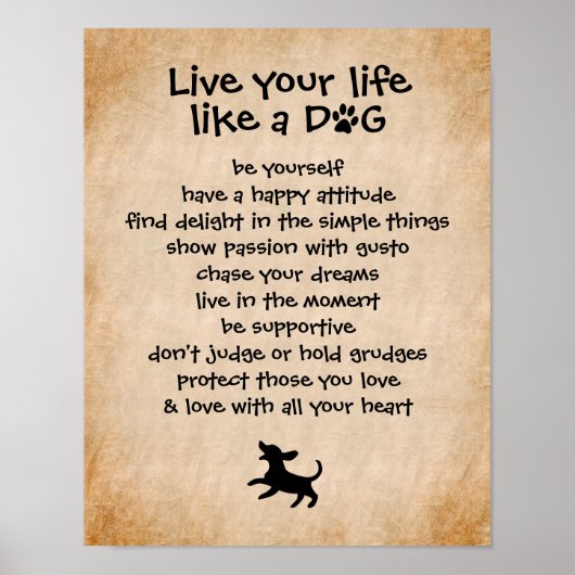 Leef je leven... Dog Qualities Poster (Voorkant)