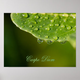 Leef je leven in harmonie met natuur! poster