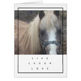 LEEF, LACH, HET PONY VAN DE LIEFDE - LEGE KAART