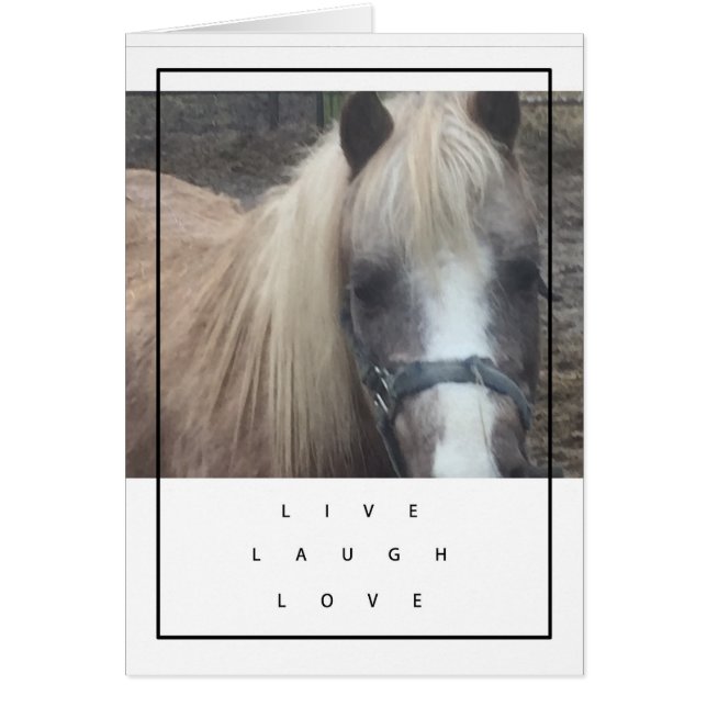 LEEF, LACH, HET PONY VAN DE LIEFDE - LEGE KAART (Voorkant)