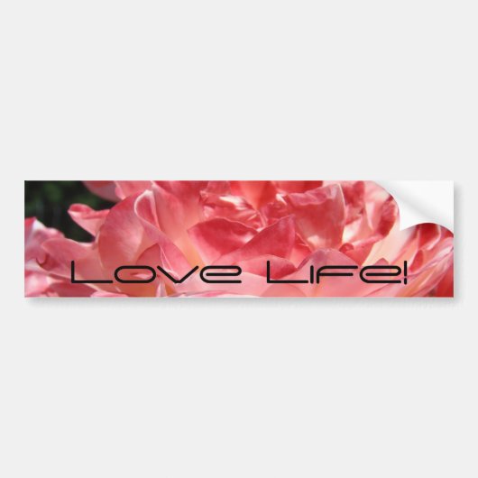 Leef Leven! bumpersticker Roze Zomer Roos Bloem (Voorkant)