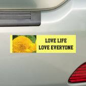 Leef Leven Houd Van Iedereen bumperstickers Zonneb (Op auto)