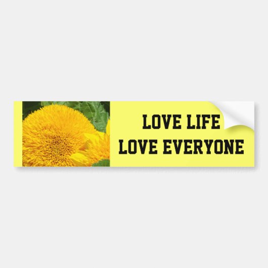Leef Leven Houd Van Iedereen bumperstickers Zonneb (Voorkant)