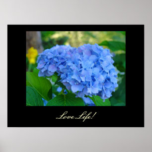 Leef Leven! kunstprinten Blauwe Hortensia Bloem ku Poster