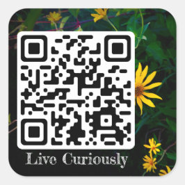 Leef merkwaardig sticker