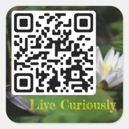 Leef merkwaardig sticker