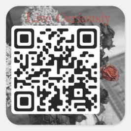 Leef merkwaardig sticker