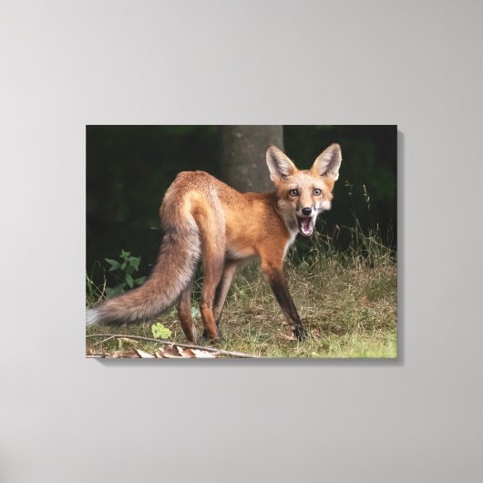 Leef met geest canvas afdruk (Voorkant)