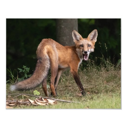 Leef met geest foto afdruk (Voorkant)