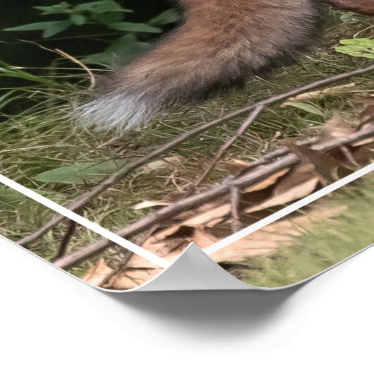 Leef met SPUNK Poster (Hoek)