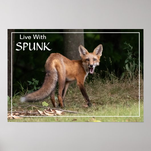 Leef met SPUNK Poster (Voorkant)