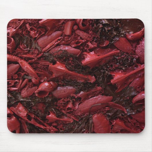 Leef! Muismat (Voorkant)