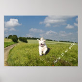 "Leef zoals..." Poster - Boeddhistische (Matrix) v (Voorkant)