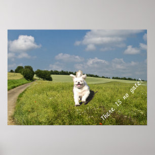 "Leef zoals..." Poster - Boeddhistische (Matrix) v