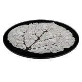 Leefblad van Aspen 1 Snijplank (Hoek)