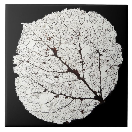 Leefblad van Aspen 1 Tegeltje (Voorkant)