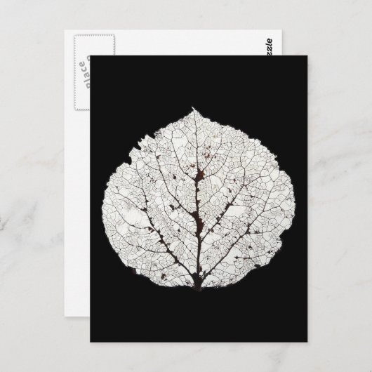 Leefblad van Aspen Skeleton 1 Briefkaart (Voorkant / Achterkant)