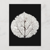 Leefblad van Aspen Skeleton 1 Briefkaart (Voorkant)