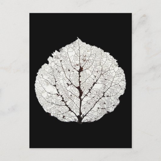 Leefblad van Aspen Skeleton 1 Briefkaart (Voorkant)