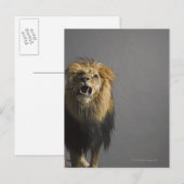 Leefhouderij Briefkaart (Voorkant / Achterkant)