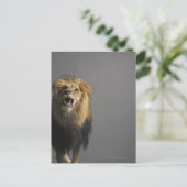 Leefhouderij Briefkaart (Staand voorkant)