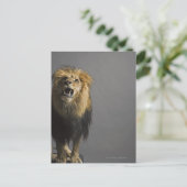 Leefhouderij Briefkaart (Staand voorkant)