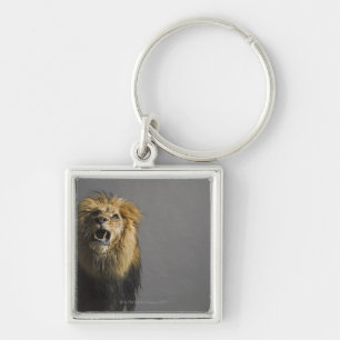Leefhouderij Sleutelhanger
